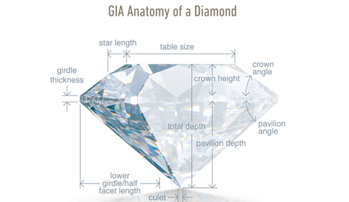 full image for Diamond-anatomy.jpg